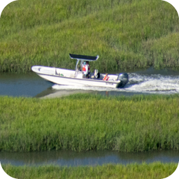 Coastal Boating & Boat Ramps <!-- Image Description: A white motorboat with a black canopy speeds through a winding waterway surrounded by lush green marsh grass. The boat leaves a white foamy wake behind it. Two people wearing life jackets are visible on board, one steering while the other is seated. The waterway meanders through the marsh, creating a natural pattern of land and water.