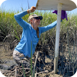 CRD’s Coastal Management Program works to balance economic development with natural resource protection along Georgia’s coast through planning, policy, and grant funding. It supports coastal communities by promoting sustainable growth, habitat conservation, and resilience to coastal hazards. A female scientist wearing a blue long-sleeve shirt, sunglasses, and a baseball cap is working in a muddy coastal marsh. She is kneeling in the mud, surrounded by tall green marsh grass, and adjusting or inspecting a white monitoring station mounted on a pole. A purple cloth hangs from the station. The bright sunlight casts shadows, highlighting the texture of the mud and vegetation.